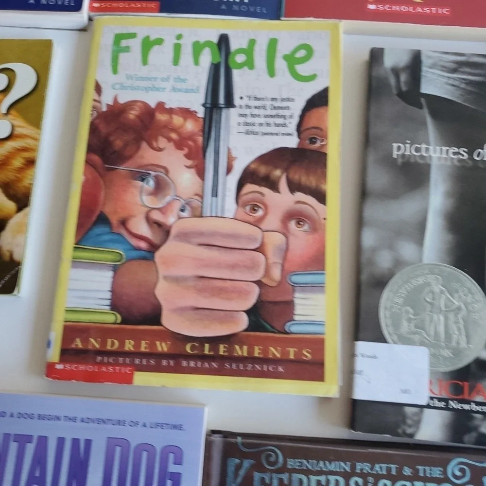 N/A homeschool teacher